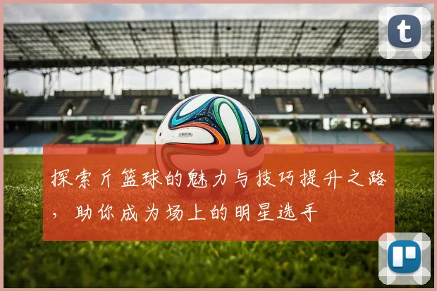 探索斤篮球的魅力与技巧提升之路，助你成为场上的明星选手