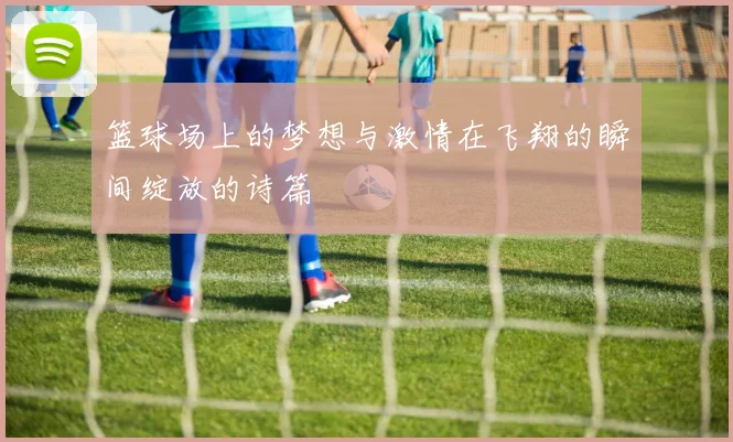 篮球场上的梦想与激情在飞翔的瞬间绽放的诗篇