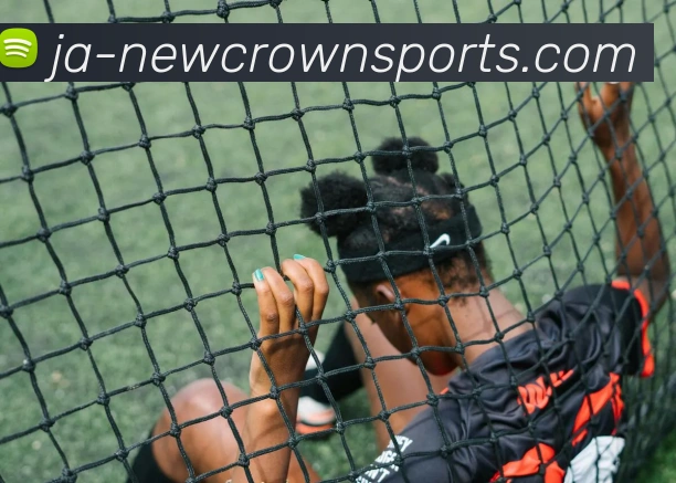 最新入口APP 封面图